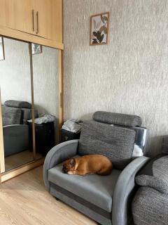 Palanga centre apartament Daukanto - 7