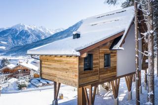 Baumhaus by Hotel Gassner - 3