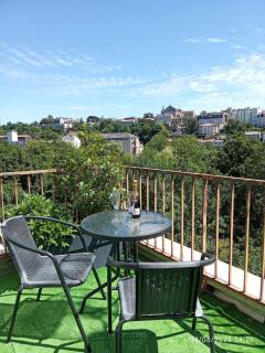 T2 - Terrasse avec vue imprenable - Secteur gare - 8