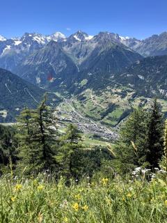 Mayen de Planraveire - Orsières - 7