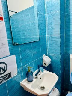 VILA Naty Costinesti - 3