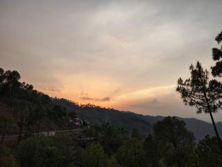 Kasuli room - Kasauli - 8