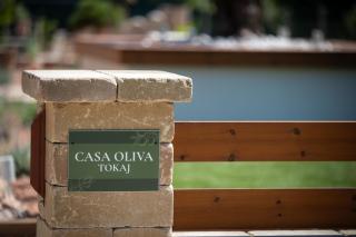 Casa Oliva Tokaj - 8