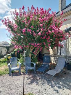Entre Loire & Vignes - Varennes-sur-Loire - 8