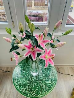 Außergewöhnliche BOHO Wohnung mitten in ZIRNDORF - 3