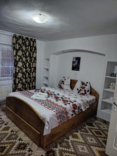 Pensiunea La Domnița - Poienile Izei - 2
