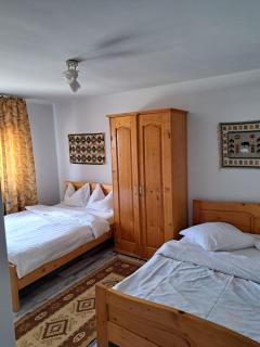 Pensiunea La Domnița - Poienile Izei - 1
