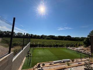 Villa paisible au bord des vignes - 1