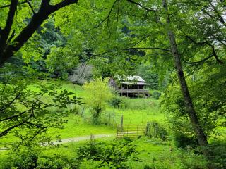 Boons Camp Cabin - - 8