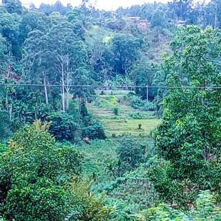 Marvellous Inn - Ella - 6
