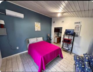 Pet-Friendly Studio with Kitchenette, Parking - 0