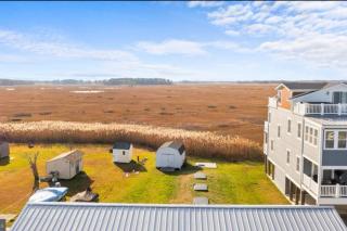 Beach House Close to DE Turf - Milford - 1