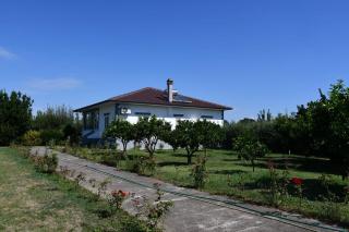 Rrozhani House - Lezha - 0