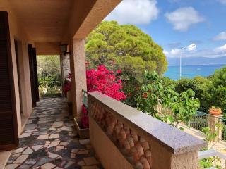 VILLA route des sanguinaires - 1