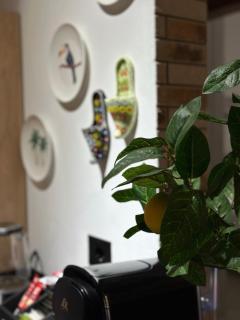 Sunset Apartments Lungomare - 4