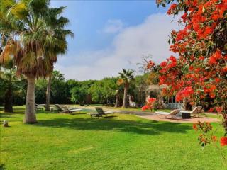 villa hibiscus marrakech - Marrakesch - 9