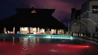 Hotel Manzanillo - - 0
