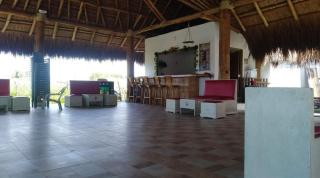 Hotel Manzanillo - - 5