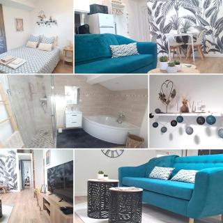 Coeur bleu de Ribérac - hyper centre - 9