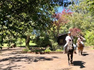 Alma Sur Lodge - - 8