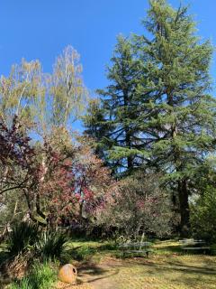 Alma Sur Lodge - - 9