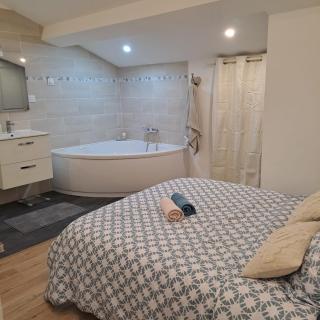 Coeur bleu de Ribérac - hyper centre - 2