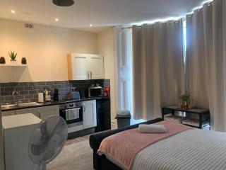 155 Studio 1 - Uplands - Swansea - 1