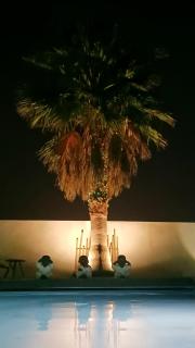 La Paillote - 2