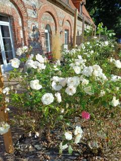 Le Clos Saint Vincent & SPA - 4