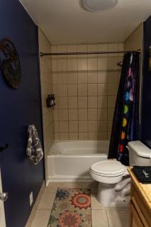 Near CMU and casino with Hot Tub, gym, fireplace - Mount Pleasant - 4