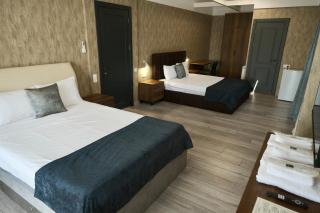 Hotel Saguramo Bliss - Saguramo - 5