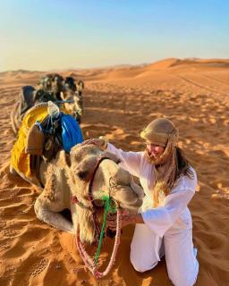 Merzouga Hosting & Camelride - Merzouga - 8
