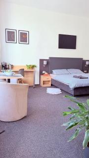 NEW Cozy studio in the city heart - Plzeň - 3