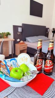 NEW Cozy studio in the city heart - Plzeň - 6