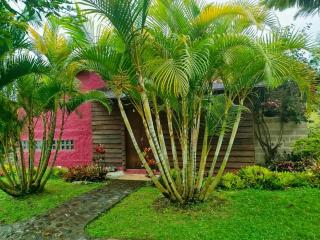 Jardín Utopía - Jardin - 1