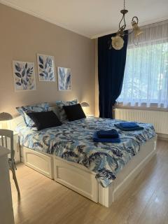 Cozy apartment - Chaskowo - 0