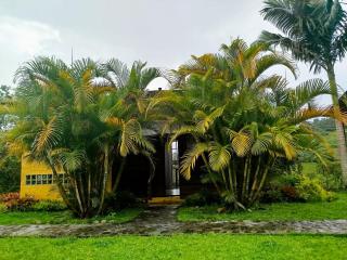 Jardín Utopía - Jardin - 8