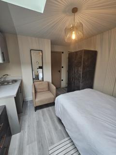 Ensuite Rooms in Newly Remodeled Home - Norwood - 7