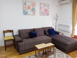 Zlatni apartman - Vrnjačka Banja - 0
