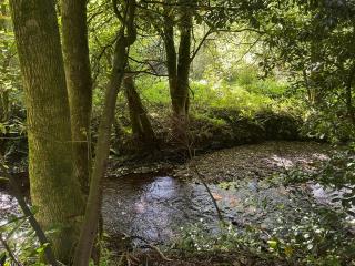 Riverside Casita - Cork - 2