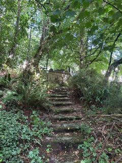 Riverside Casita - Cork - 5