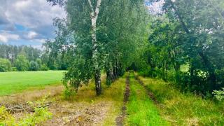 Na Skraju Puszczy - Cieciory - 6