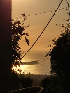 Thanasis House Corfu - 8