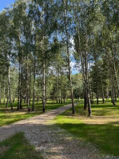 Miško Kortai - 4
