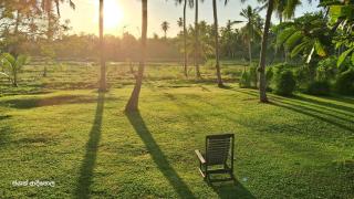 Antique Villa - Ranna - 7