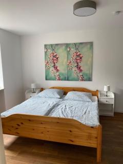 Apartment in Lampertheim-Hofheim - Lampertheim - 5