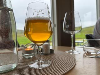 Sireksstadir Farm Holiday - 1