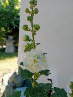 agroturystyka - Guben - 0