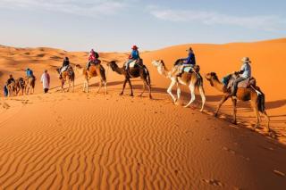 Best Merzouga Sahara Camp - Merzouga - 3