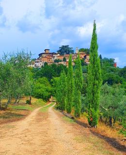 Casa di Laura in Chianti - large & charming house (host 7 people) - Moncioni - 0